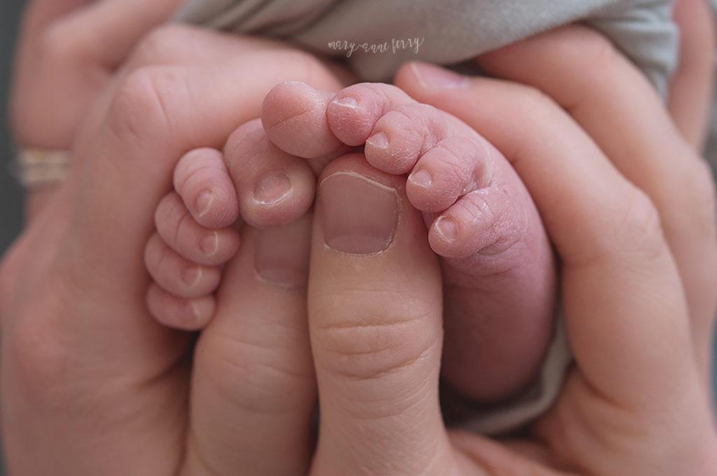 newborn with family
newborn baby girl
sleeping baby
studio newborn session
newborn photos
baby toes